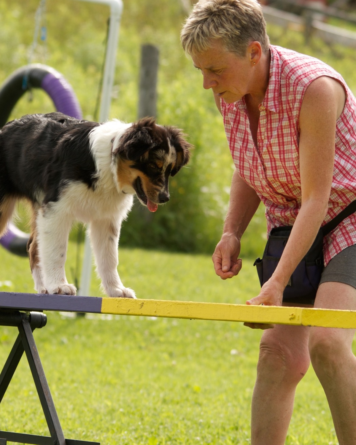 Laura Hunter training an Australian Shepherd
